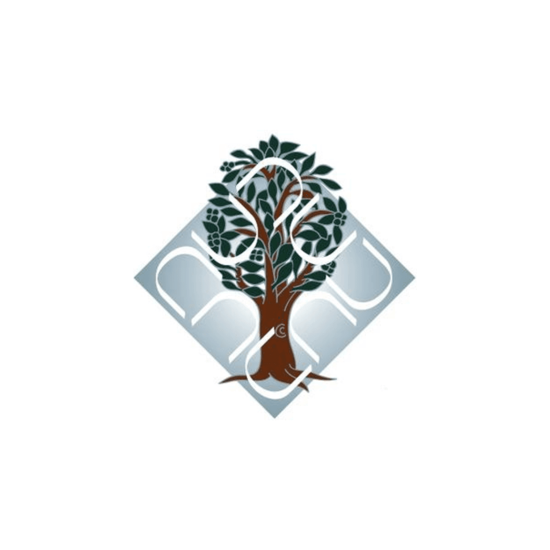 Dr. B. R. Ambedkar University, Delhi